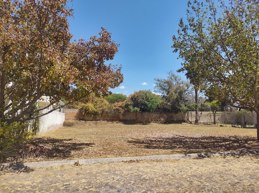 Terreno en venta Colinas de Santa Anita imagen